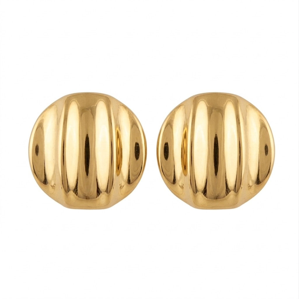 TURTLE EARRINGS