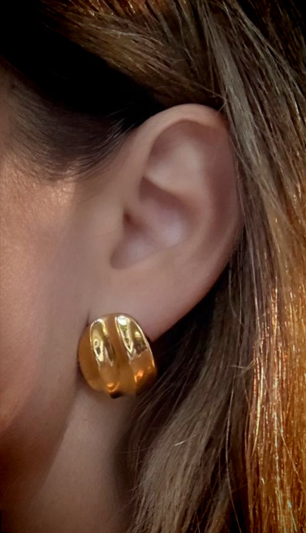 TURTLE EARRINGS