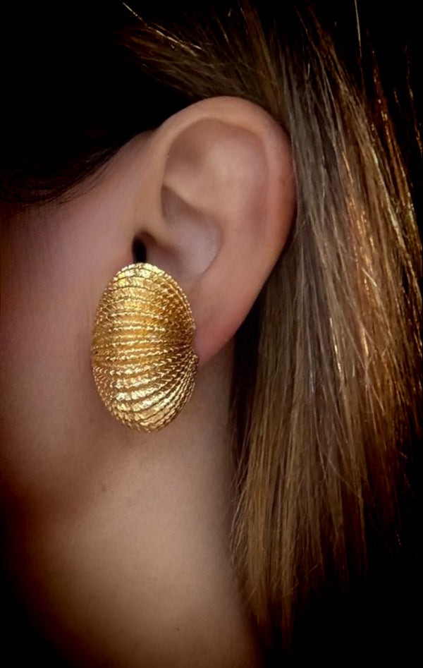 SHELL CLIP-ONS